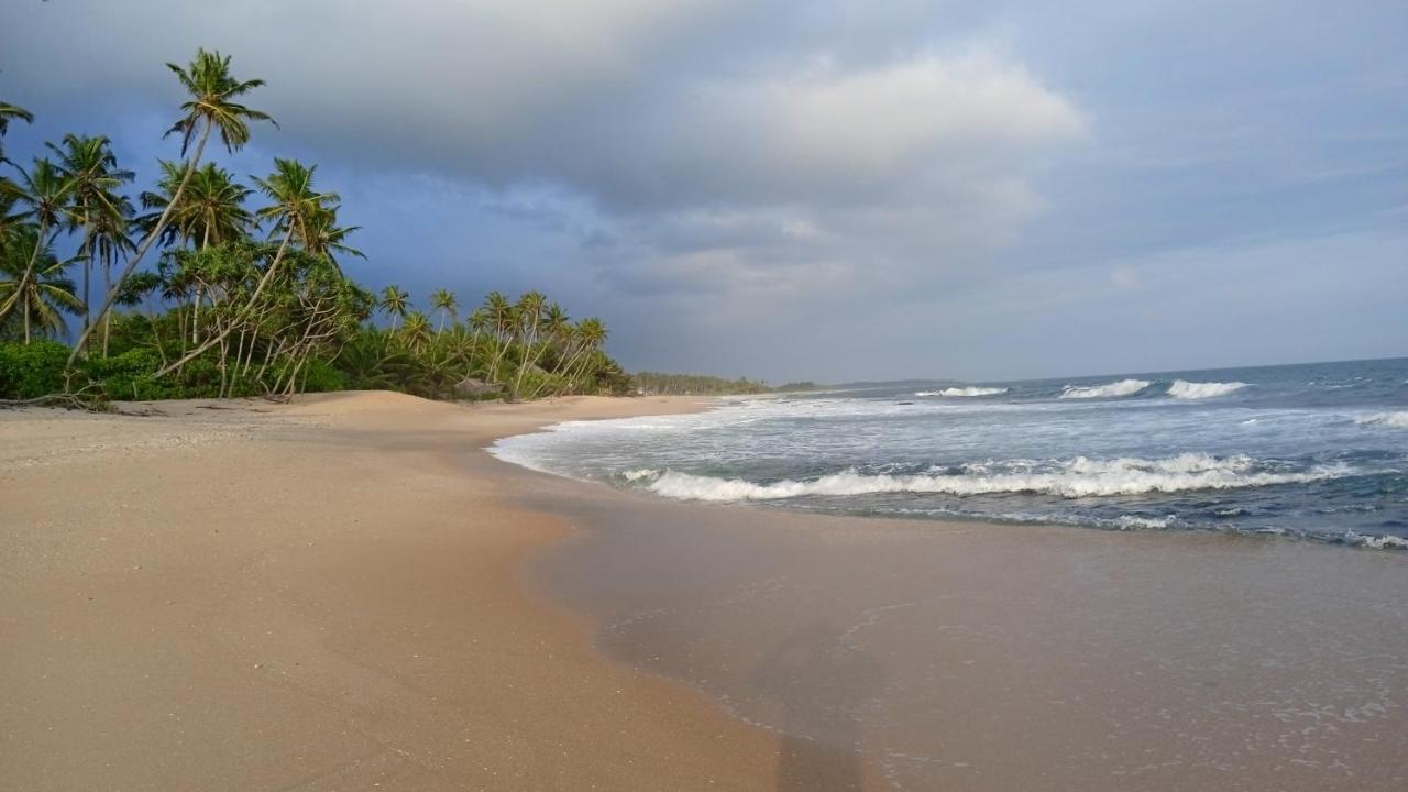 Gems Garden Guest House Tangalle Exteriör bild