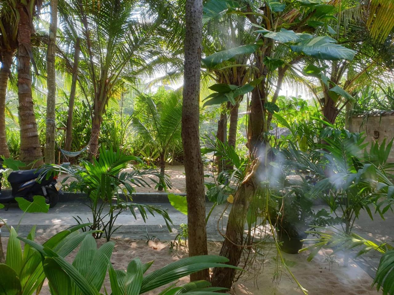 Gems Garden Guest House Tangalle Exteriör bild